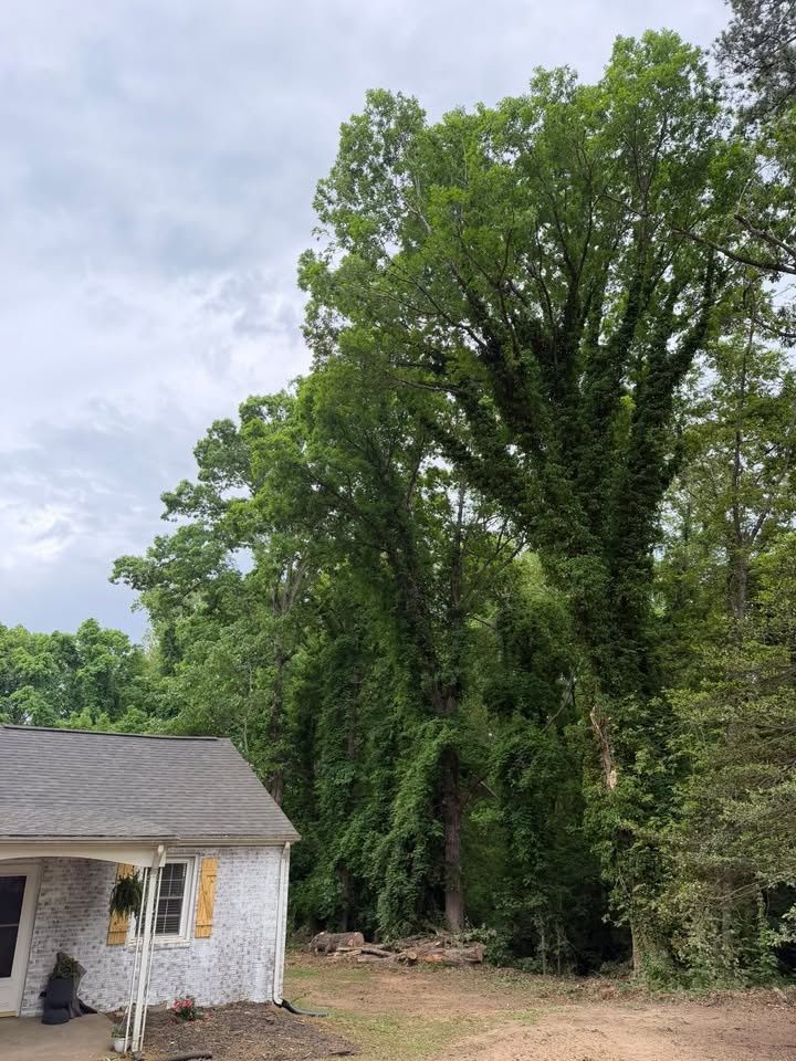 All Photos for Hunt’s Hauling & Landworks LLC in Danville, VA