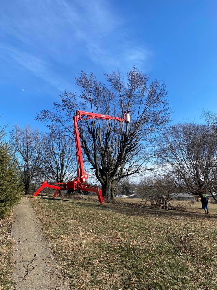 Tree Removal for SMITHs Tree Service in Columbus, IN