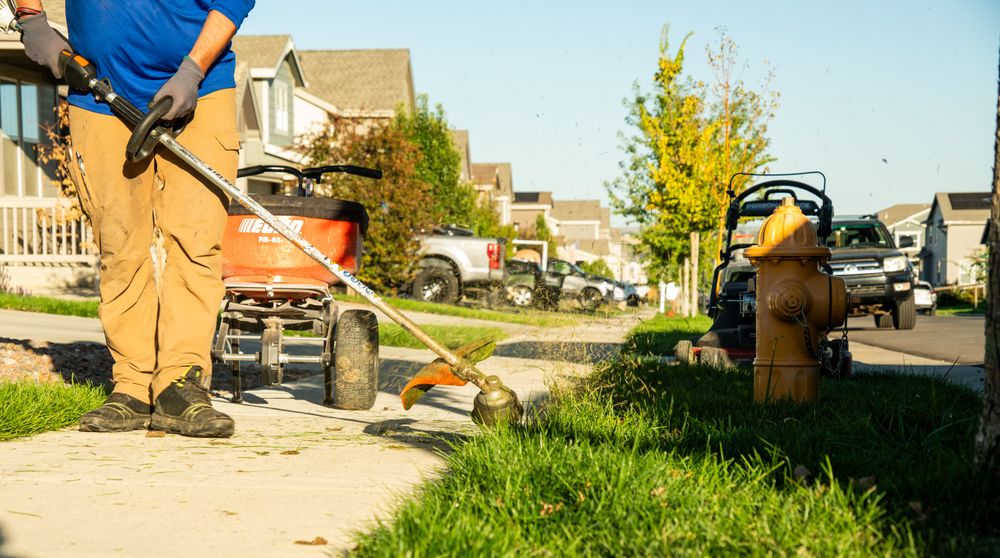 All Photos for Manscaped Lawn Care in Firestone, CO