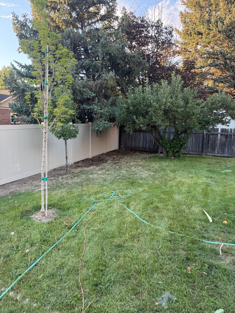 All Photos for Platinum Lawn Service in Santaquin, UT