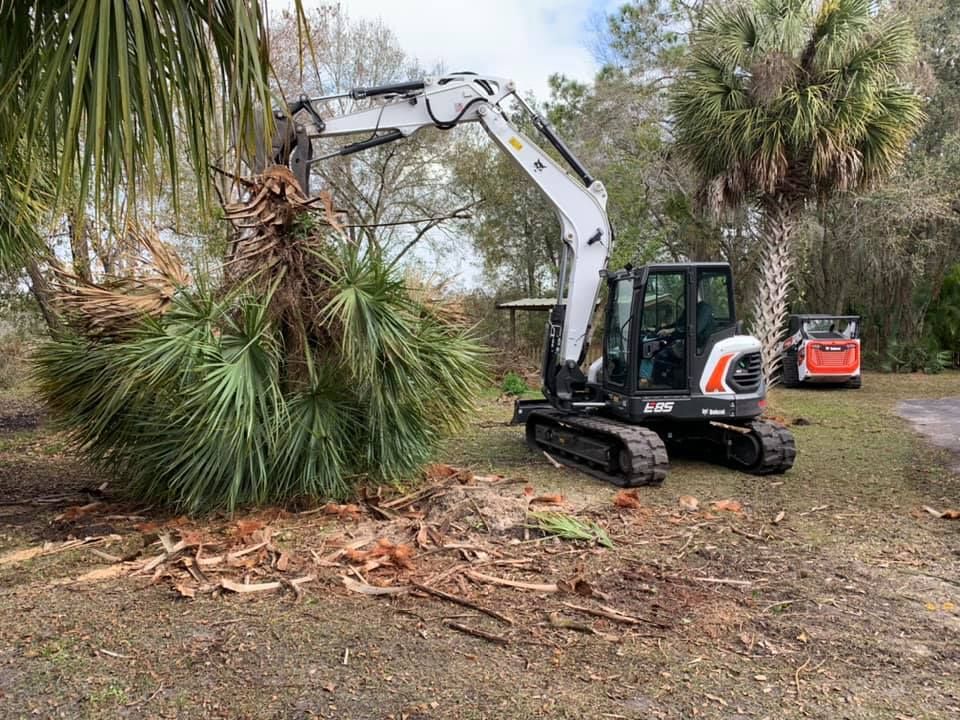 Our expert Tree Trimming & Removal service ensures your property's safety and beauty, efficiently managing overgrown or hazardous trees with precision, while protecting the surrounding landscape in every season. for Windspirit Land Services in Hillsborough County, FL