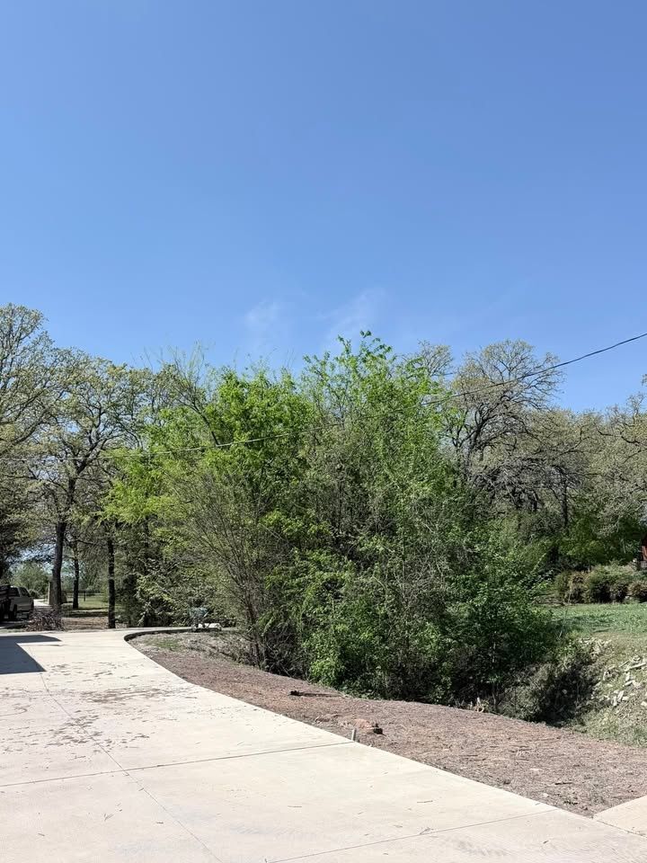 All Photos for Year Round Trees & Concrete Inc. in Fort Worth, TX