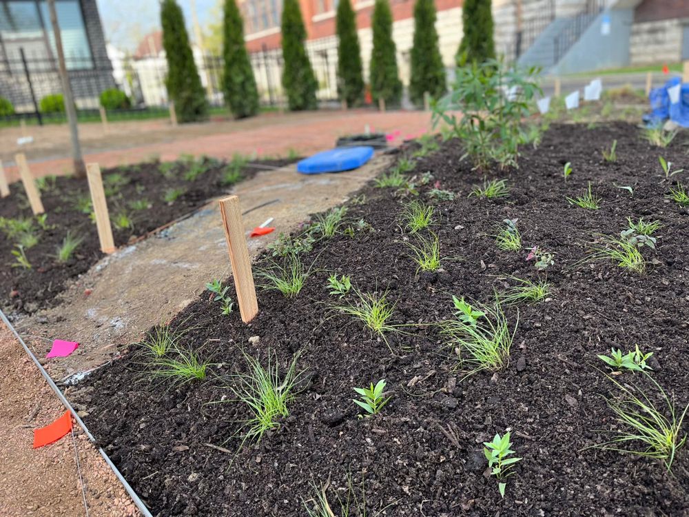 All Photos for Wolfe Custom Landscaping in Milford, OH