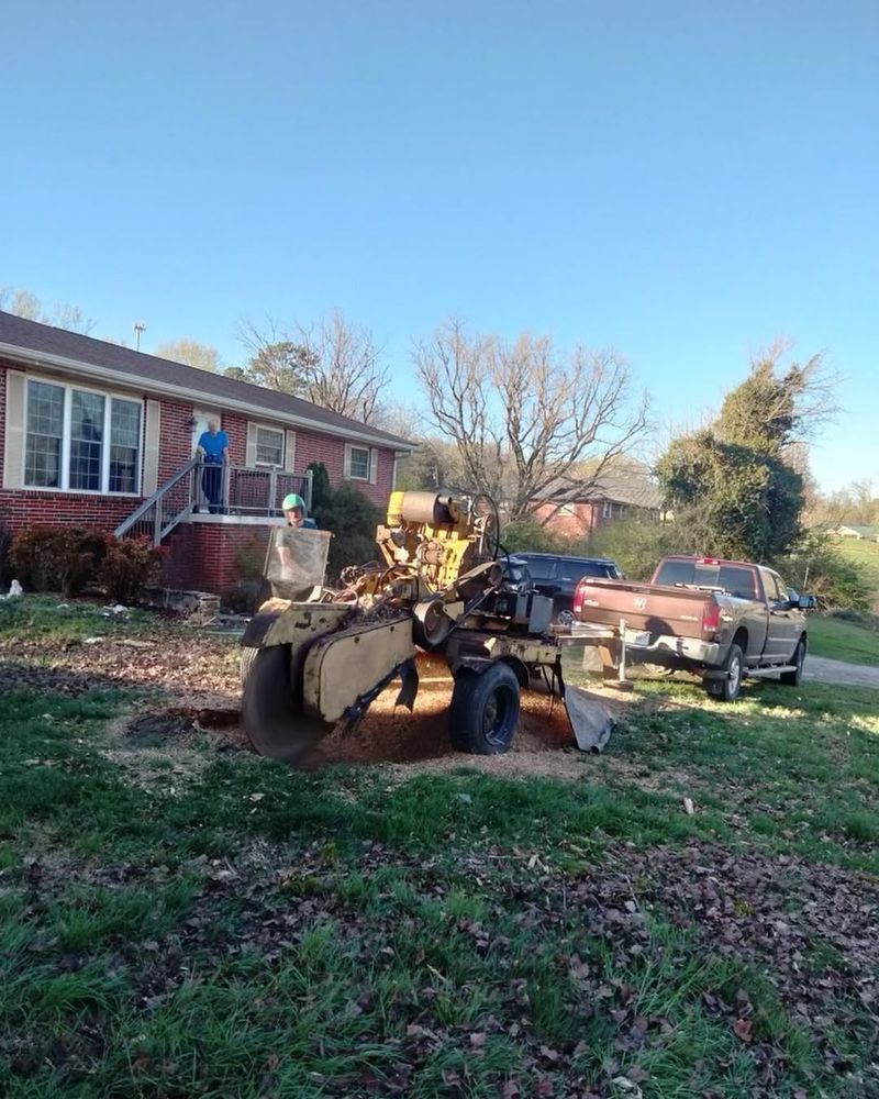 Our Stump Removal service efficiently eliminates unsightly stumps from your yard, enhancing aesthetics and safety. We use specialized equipment to ensure precise removal, promoting healthier landscapes and preventing pest infestations. for Revival Tree Management in Chattanooga, TN