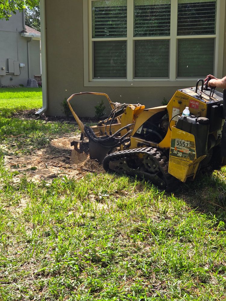 All Photos for Near Me Tree Service, Inc. in DeLand, FL