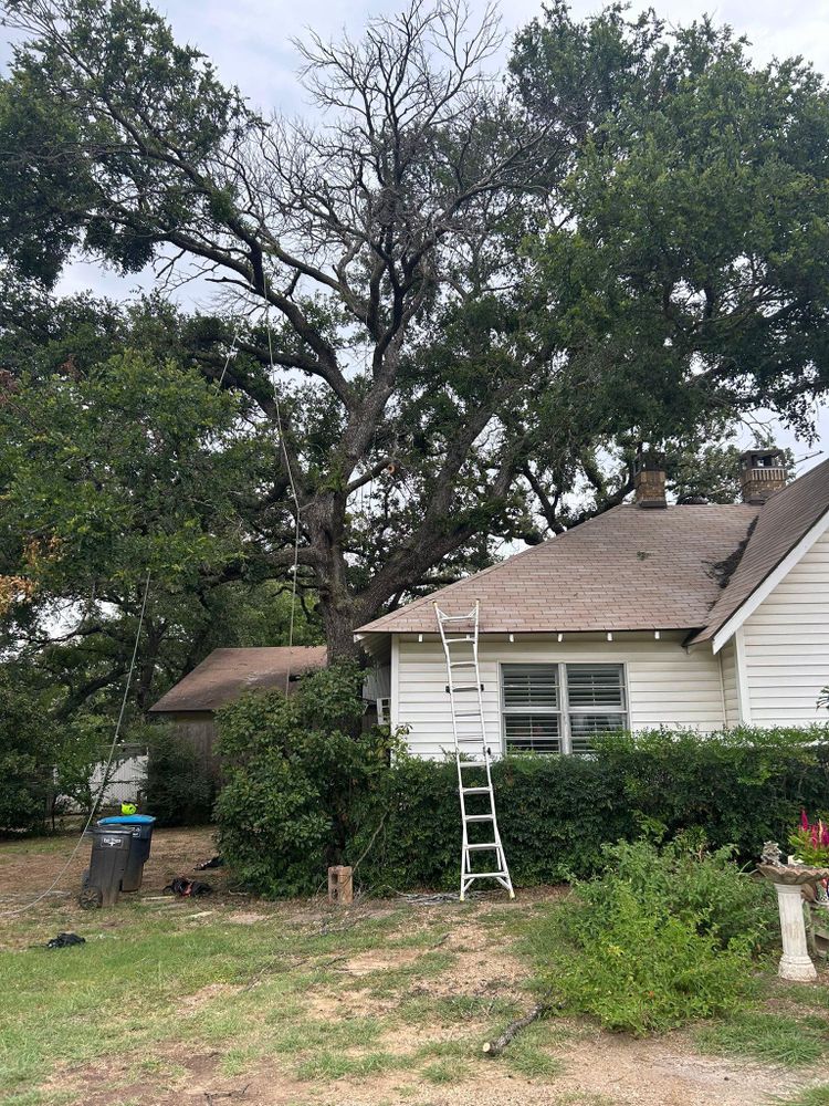All Photos for Teague Trees and Land Clearing in Rendon, TX