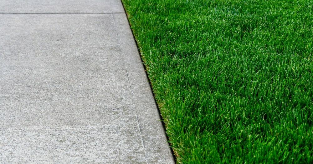 Enhance your lawn's beauty with our additional services! From fertilization to pest control, our experts are ready to elevate your outdoor space. Contact us today for a lush and vibrant lawn! for Dm Lawncare service in Brentwood, TN
