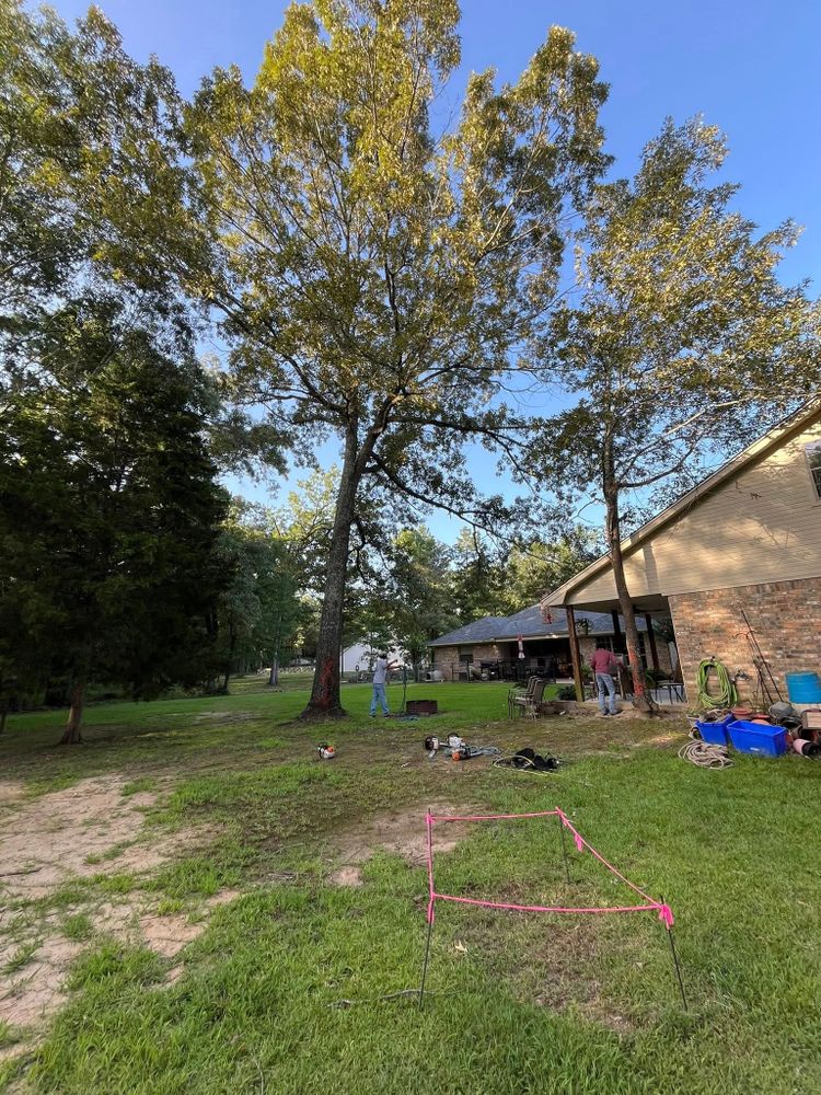 All Photos for JC Land and Tree Service in Kilgore, TX