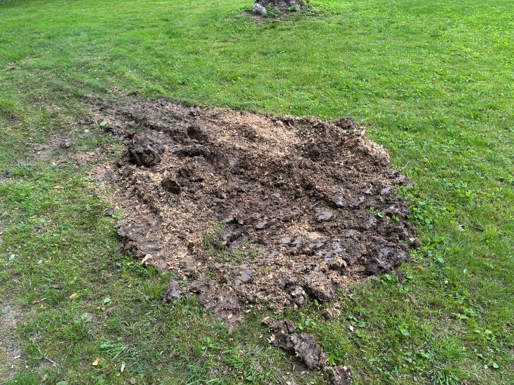 All Photos for Conrad's Stump Removal in Columbus, IN