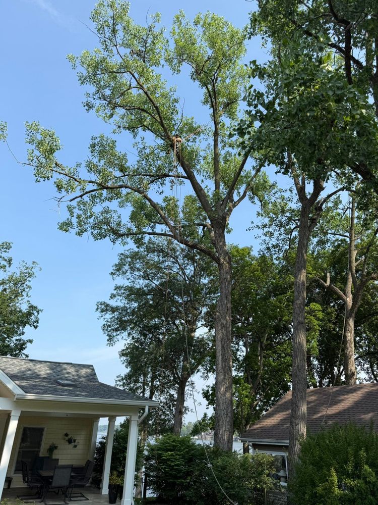 All Photos for Hunnicutt’s Tree Service L.L.C. in Monticello, IN