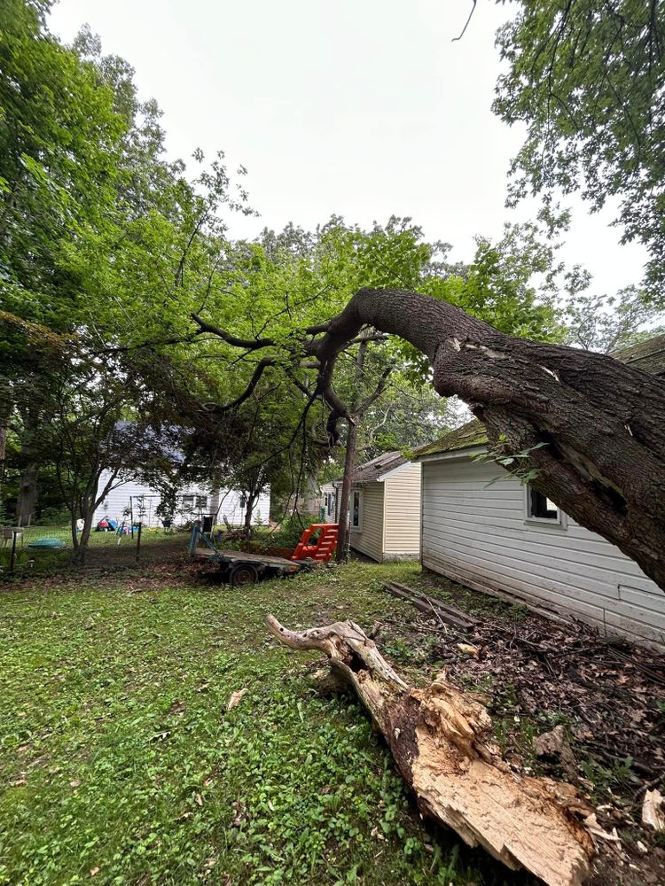 Tree Removal for S.H. Tree Service LLC in Hilton, NY