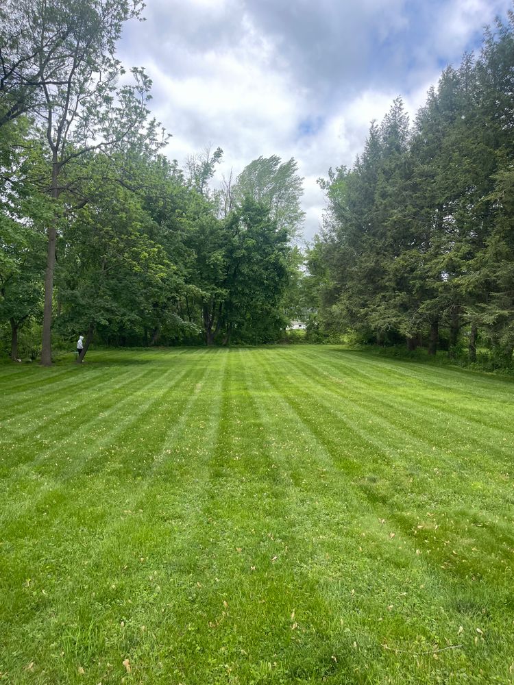 All Photos for Ardisi Property Maintenance LLC in Poughkeepsie, NY 