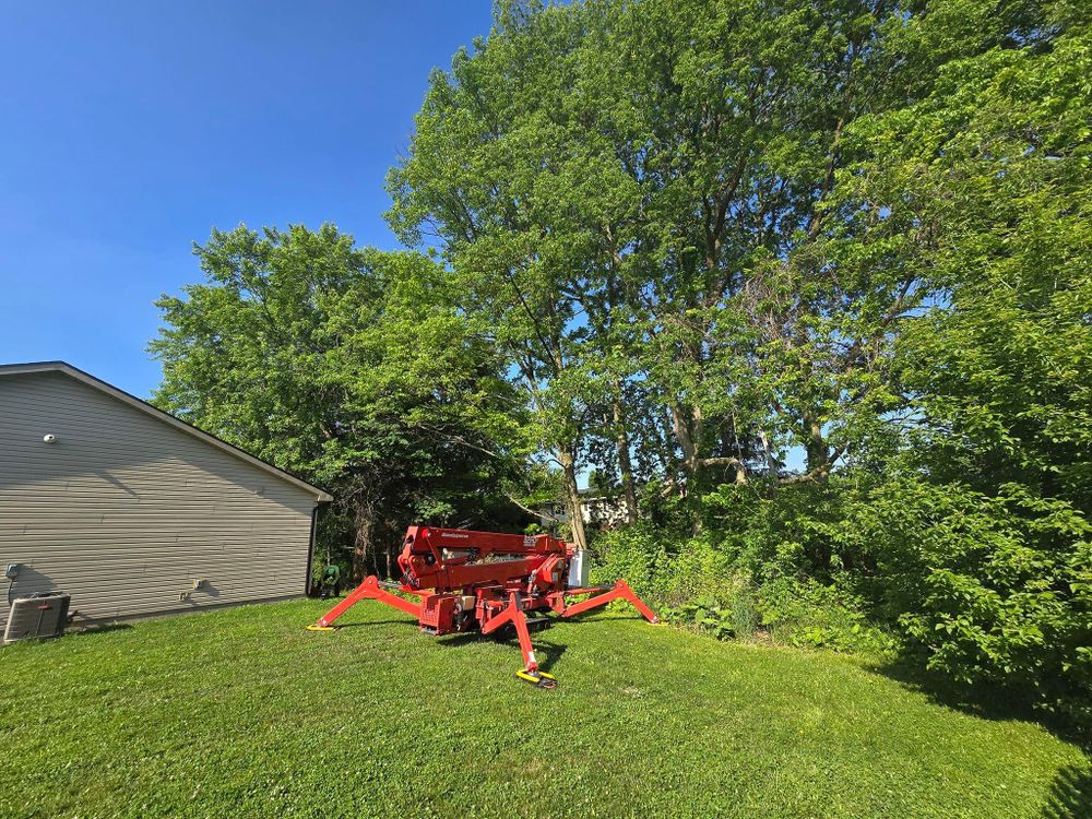 All Photos for F & F Tree Service in Beavercreek, OH