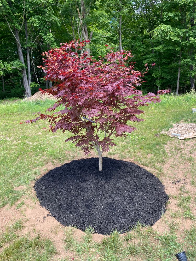 All Photos for Stevenson Property Maintenance in Cheshire, CT