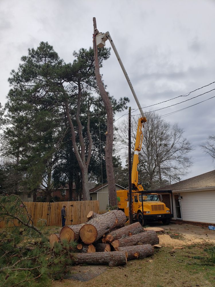 All Photos for ArborMax in Thomaston, GA