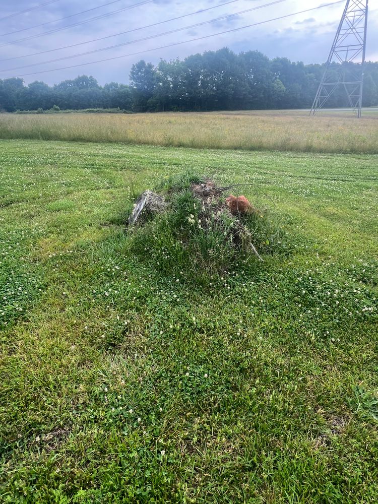 All Photos for Brooks Tree Service in Casar, NC