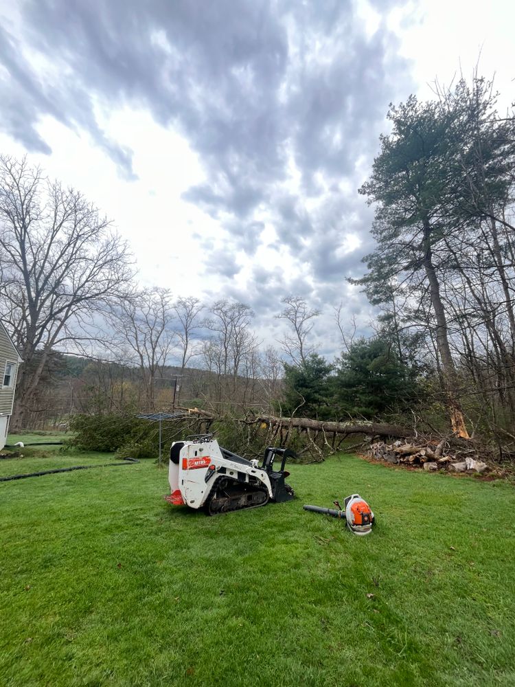 All Photos for Licensed to Cut Tree Service in Athens, PA