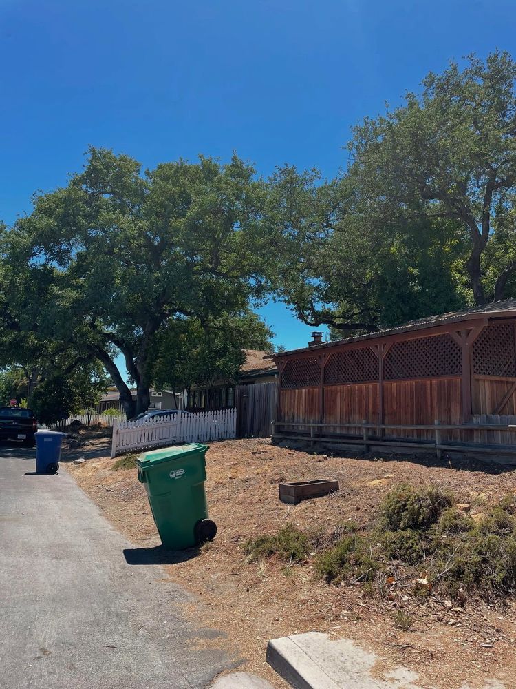 All Photos for A1 Junk & Tree Solutions, LLC in Paso Robles, CA