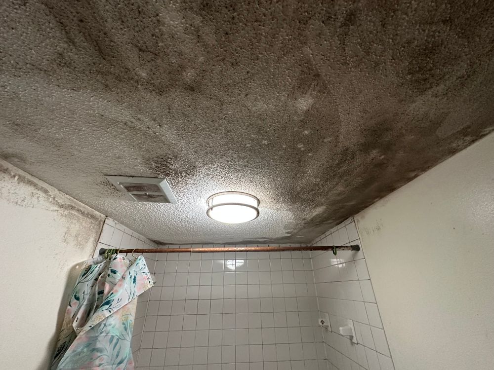 All Photos for Febos Painting in Chelmsford, MA