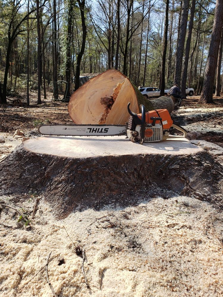 Our Stump Removal service efficiently eliminates unsightly stumps, enhancing your landscape’s beauty and safety. Trust our experts to carefully remove stumps, preventing regrowth and making way for new possibilities in your yard. for ArborMax in Thomaston, GA