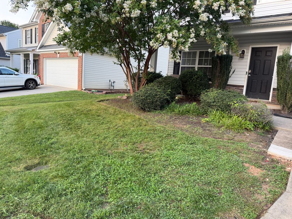 All Photos for D&G Pro Cut LLC in Winston-Salem, NC