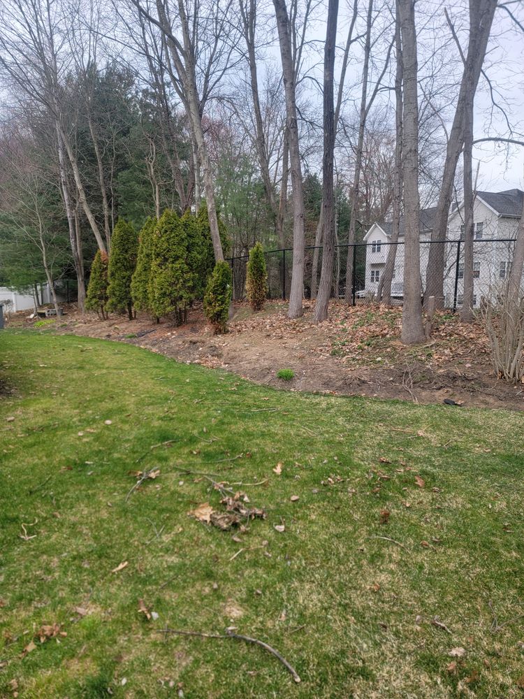 All Photos for Sweet Scapes in Ballston Spa, NY
