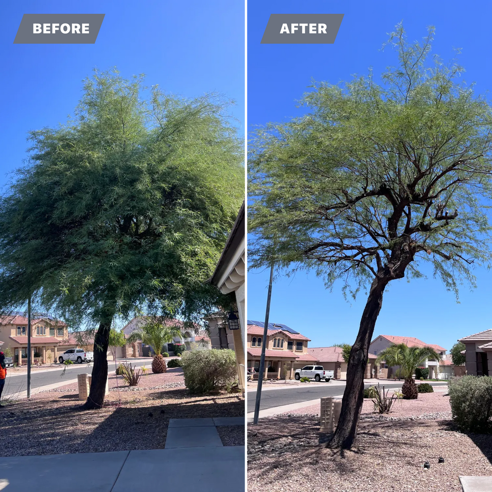 All Photos for AZ Tree & Hardscape Co in Surprise, AZ