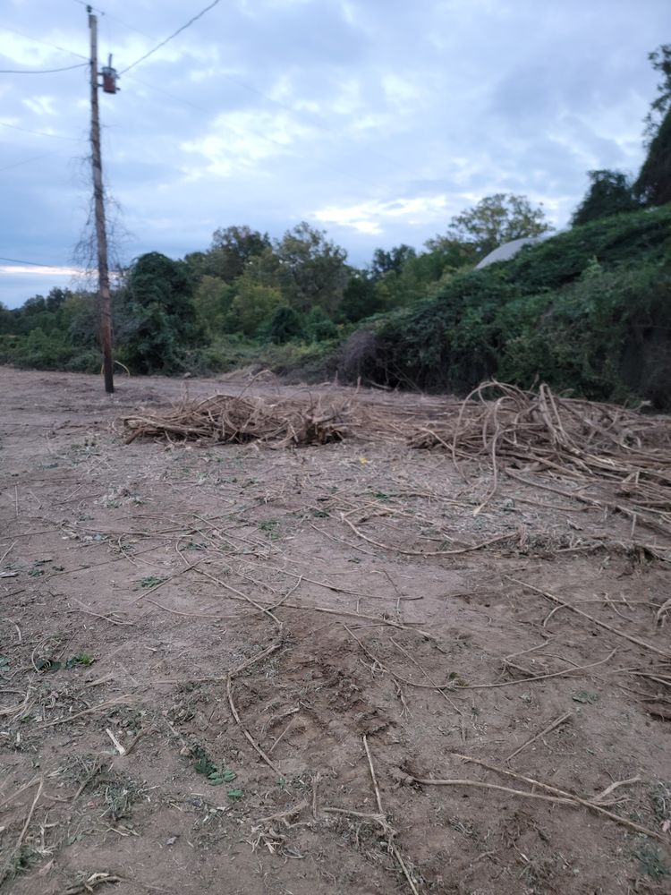 All Photos for Z's Land Management & Forestry Mulching in Smithville, TN