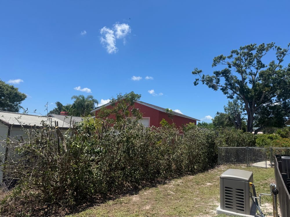 All Photos for Adam's Tree and Stump Care in Sarasota, FL