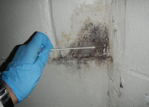 All Photos for VISION 21inc General Contractor in Brooklyn, NY