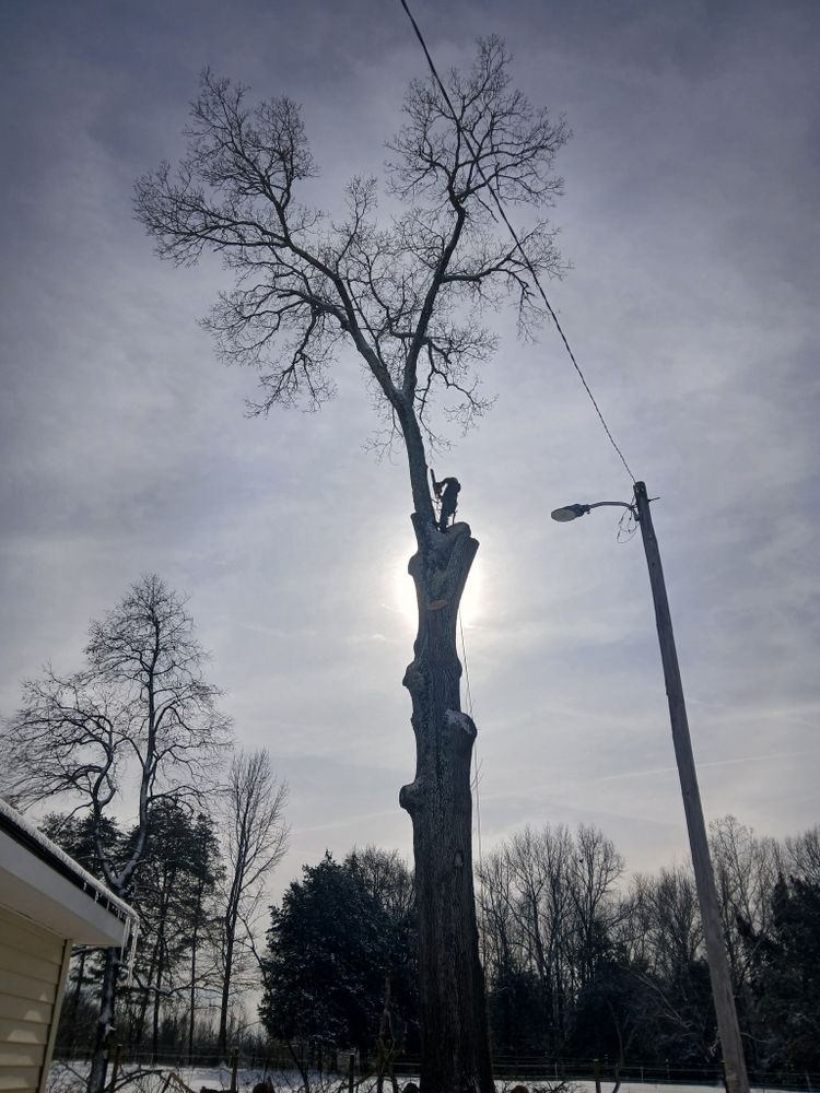 All Photos for Smith Tree Experts in Palmyra, VA