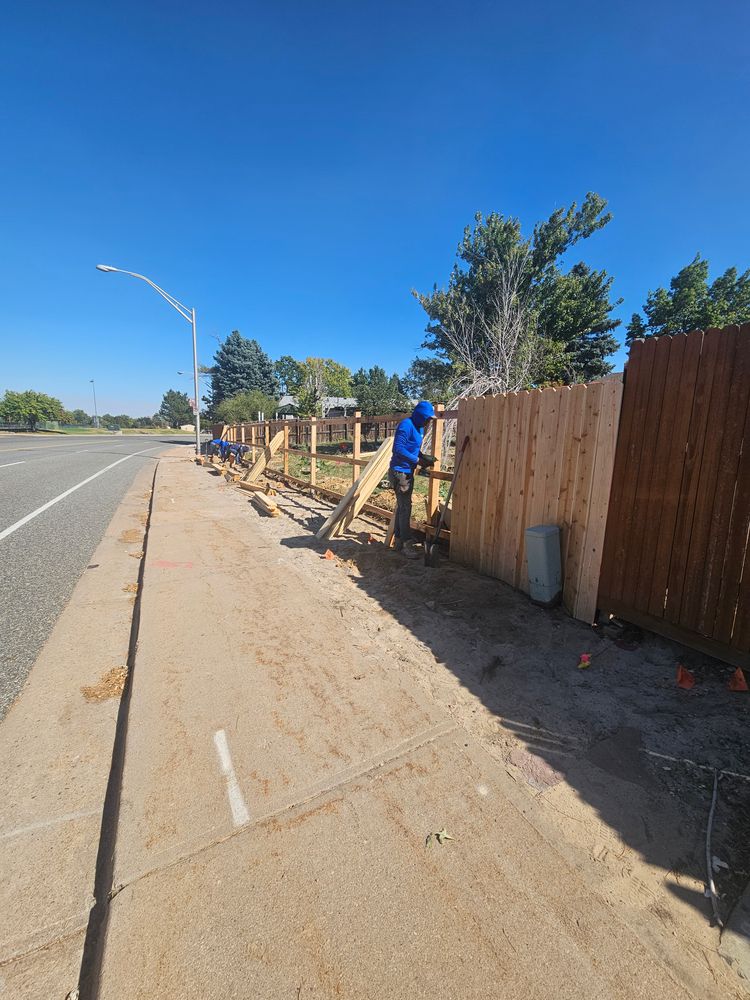 All Photos for NGL Landscape Company in Denver, CO