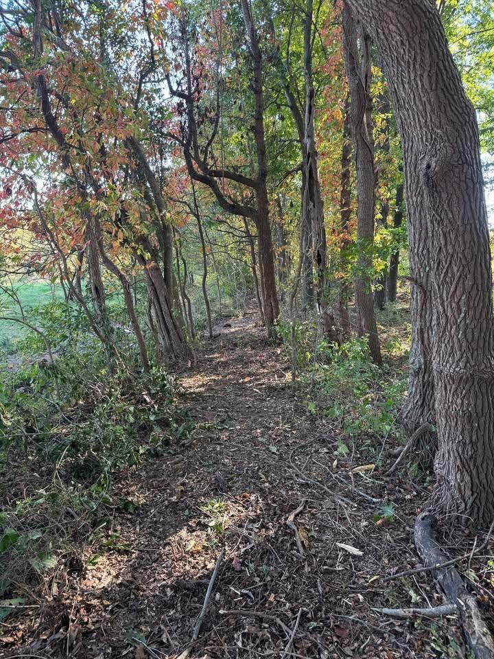 All Photos for DIRT PLUS LLC in Bowling Green, KY