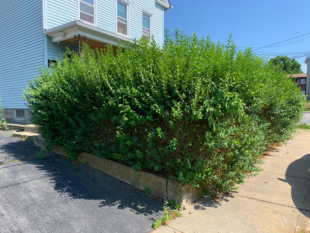 All Photos for Murray Mowing and More in Ashaway, RI