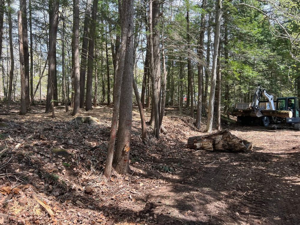 All Photos for Abair Tree Service in Weare, NH