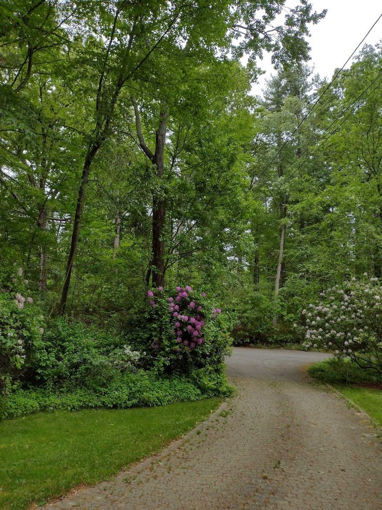 All Photos for Dumbo's Doggy Doors in City of Sammamish, WA