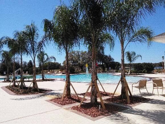 All Photos for MJK Landscaping LLC in Wesley Chapel, FL
