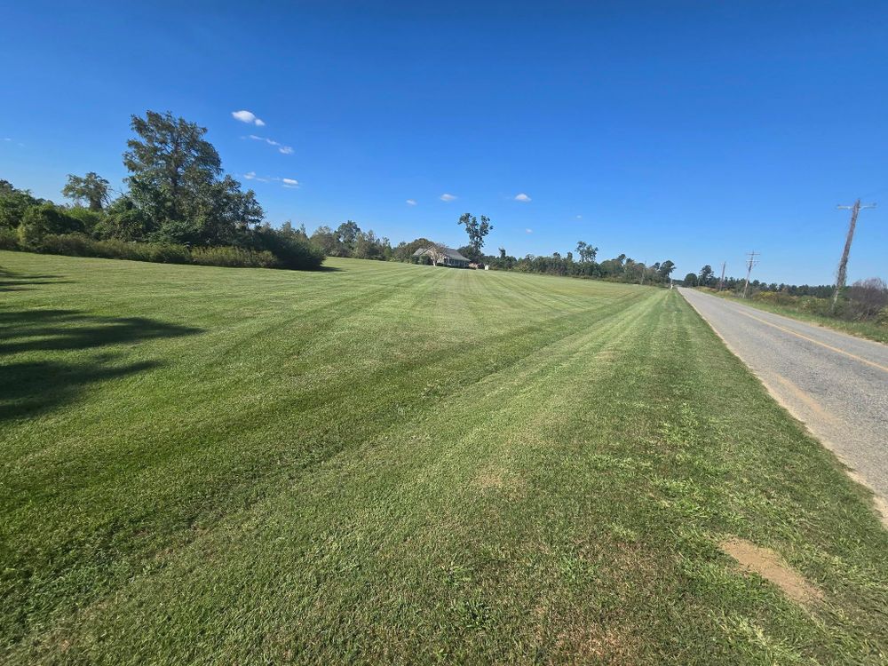 All Photos for Southern Shade Property Service in Ray City, GA