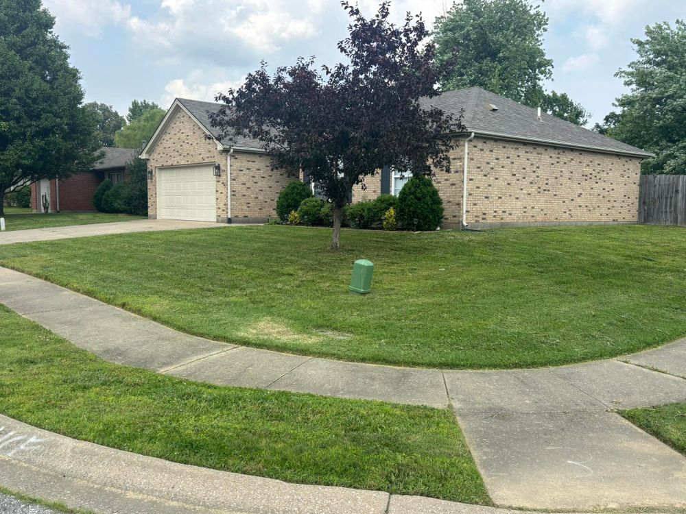 All Photos for Hey Daddy Lawn Care in Owensboro, KY