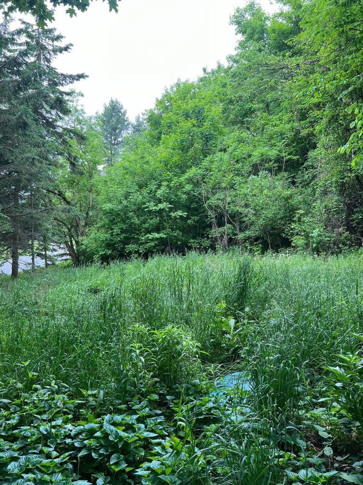 All Photos for Bishop’s Property Maintenance in Franklin, VT