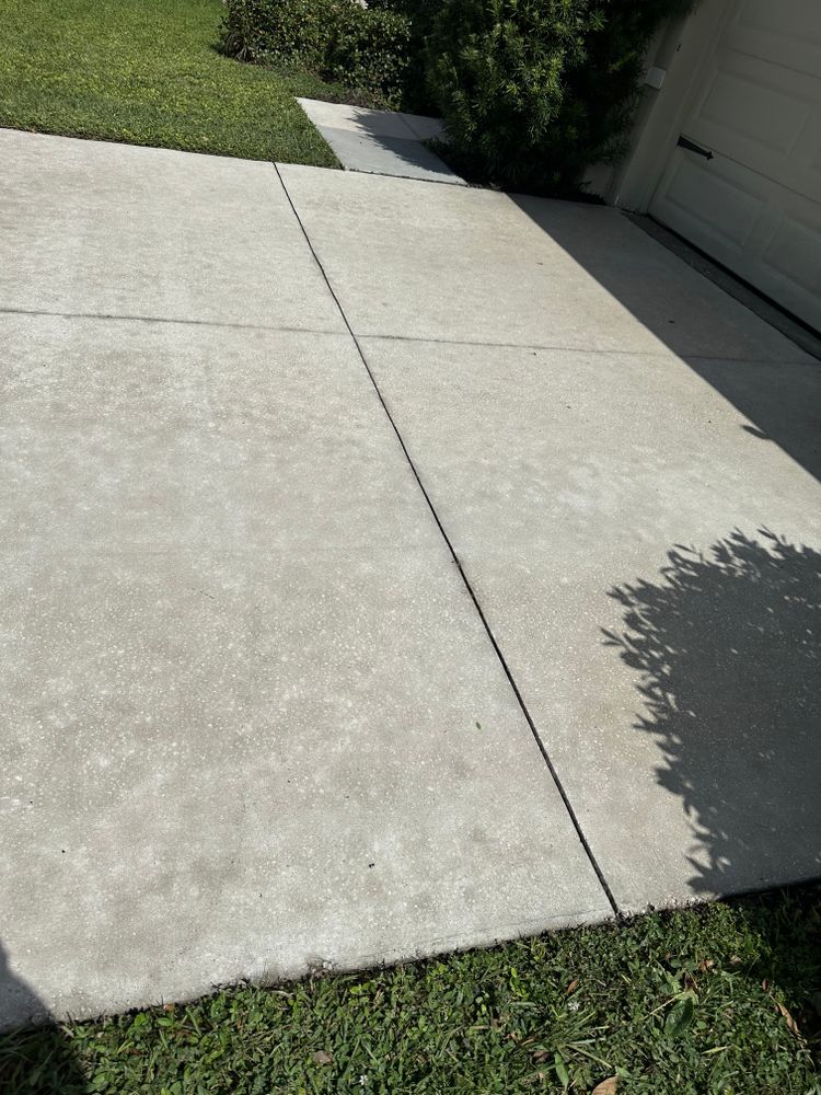 All Photos for The Yardman in Tampa, FL