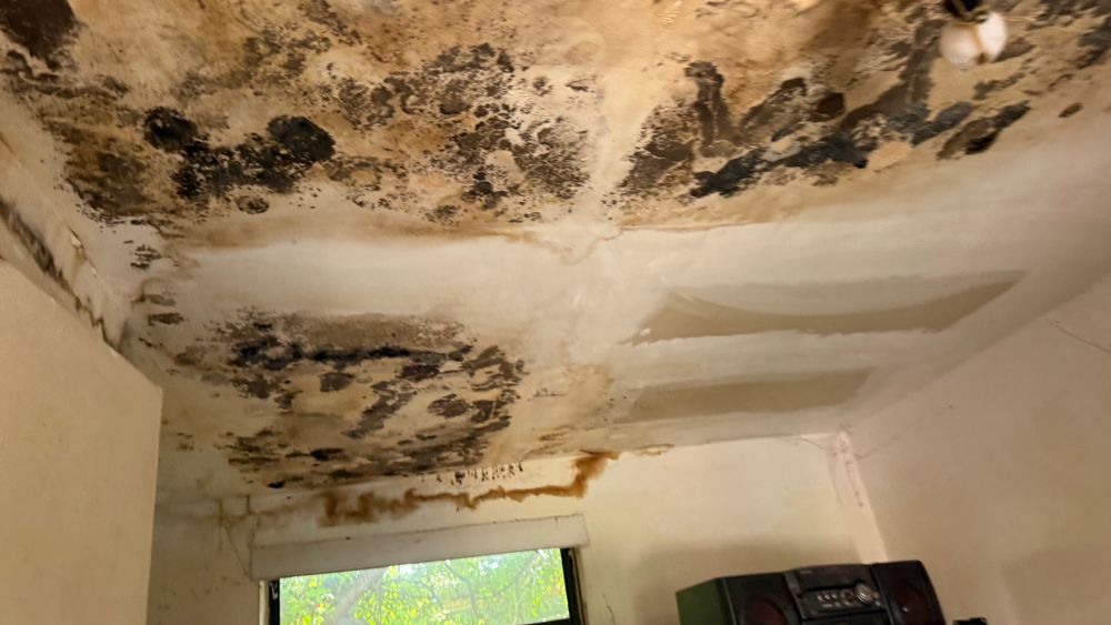 All Photos for Surplus Public Adjusters in Miami-Dade County, FL