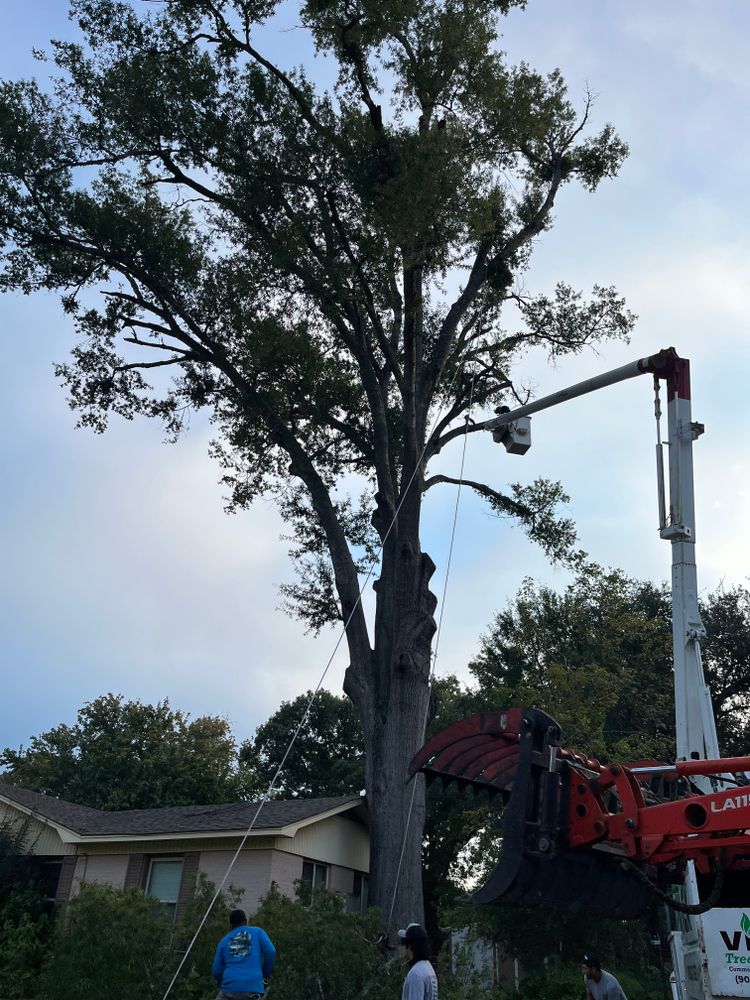 All Photos for JC Land and Tree Service in Kilgore, TX