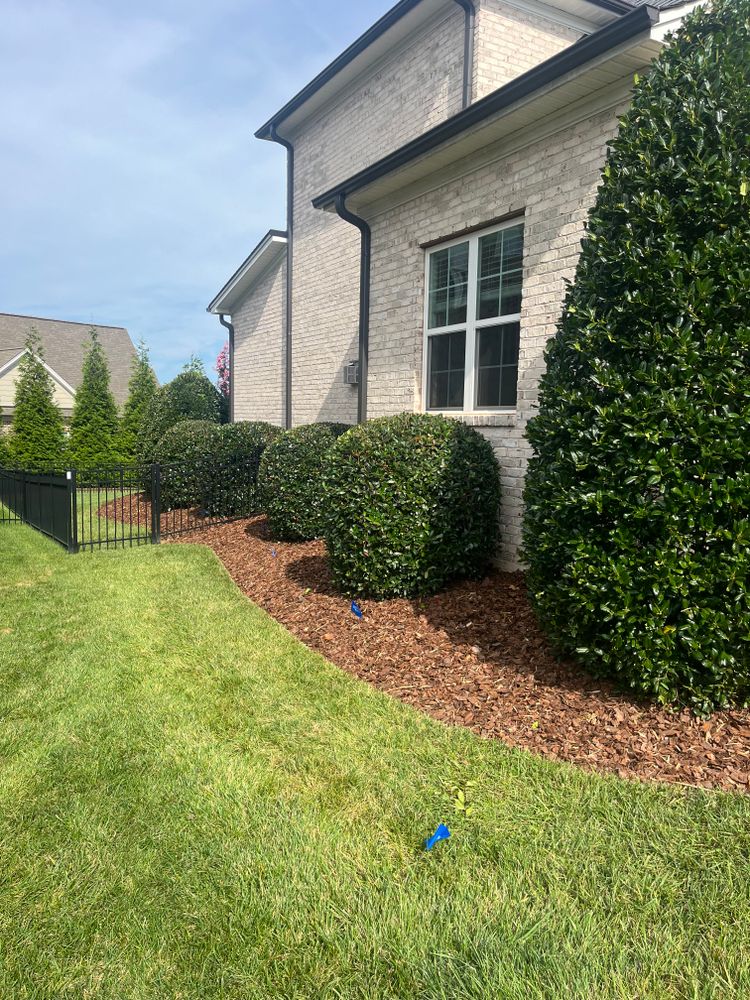 All Photos for Malboeuf Landscaping, Inc in Kernersville, NC