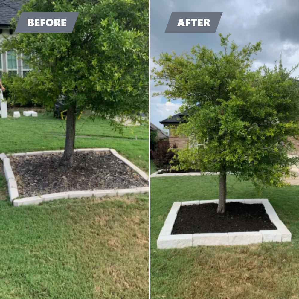 All Photos for Scalpel Lawn Service in Temple, TX