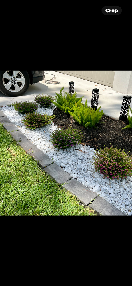 Landscaping for Verimay's Garden and Landscaping in Hillsborough County, FL