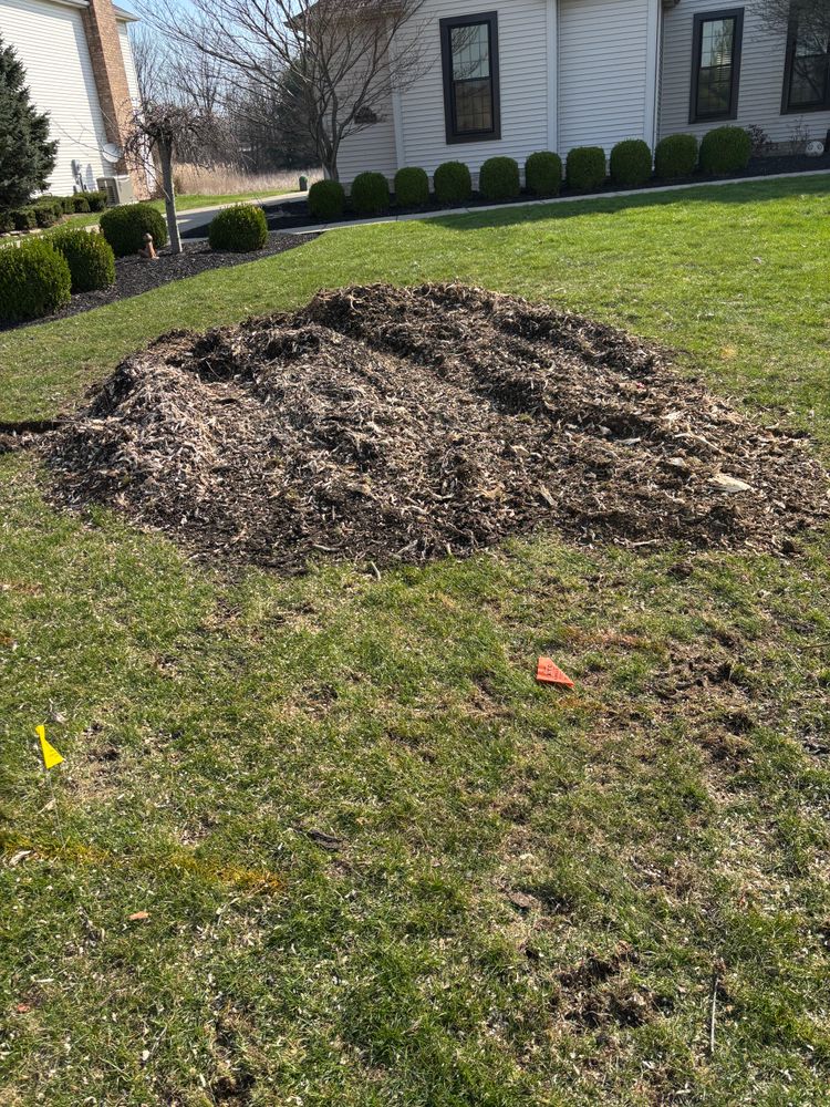 All Photos for Dean's Stump Removal in Youngstown, OH