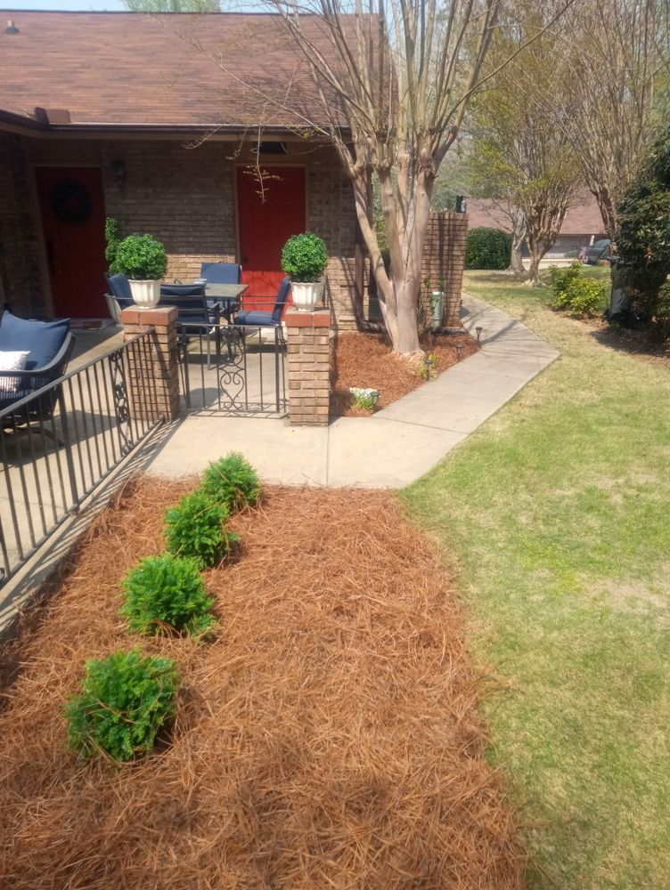 Plant & Shrub Installations for Herring Lawn Care in Columbus, GA