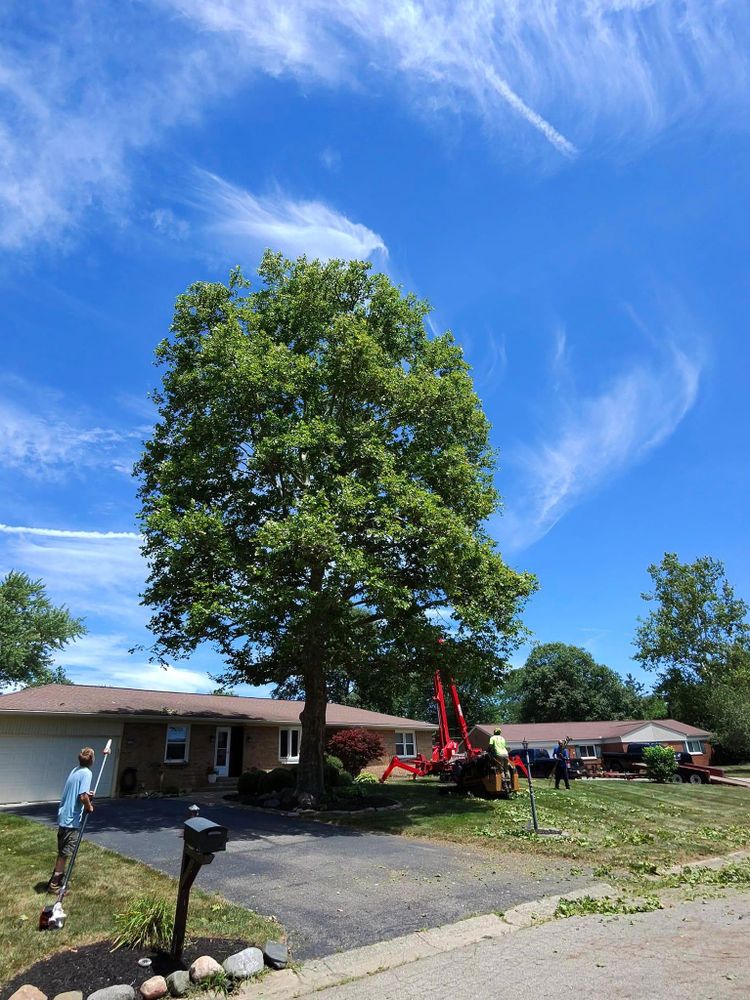 All Photos for F & F Tree Service in Beavercreek, OH