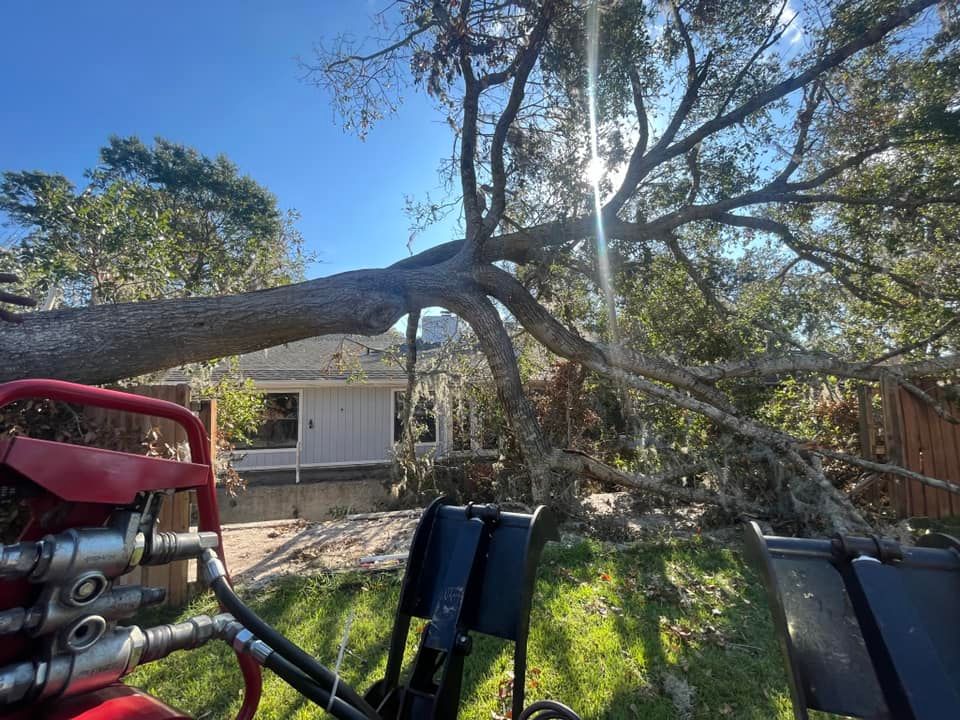 Tree Trimming and Removal for McGraw’s Lawn and Tree Service in DeLand, FL